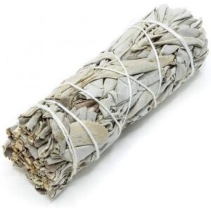 atadillo-salvia-blanca-california